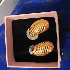 Napier Gold Tone Striped Earrings